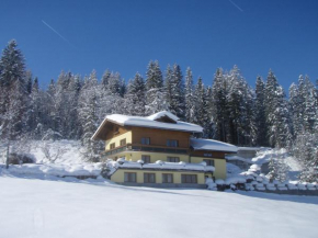 Austrian Alps - Haus Kienreich